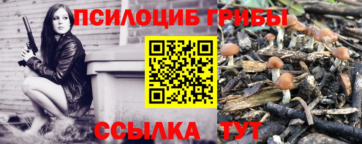 Галлюциногенные грибы мухоморы  Вход с VPN  хочу наркоту  Галлюциногенные грибы прущие грибы  Новокуйбышевск 