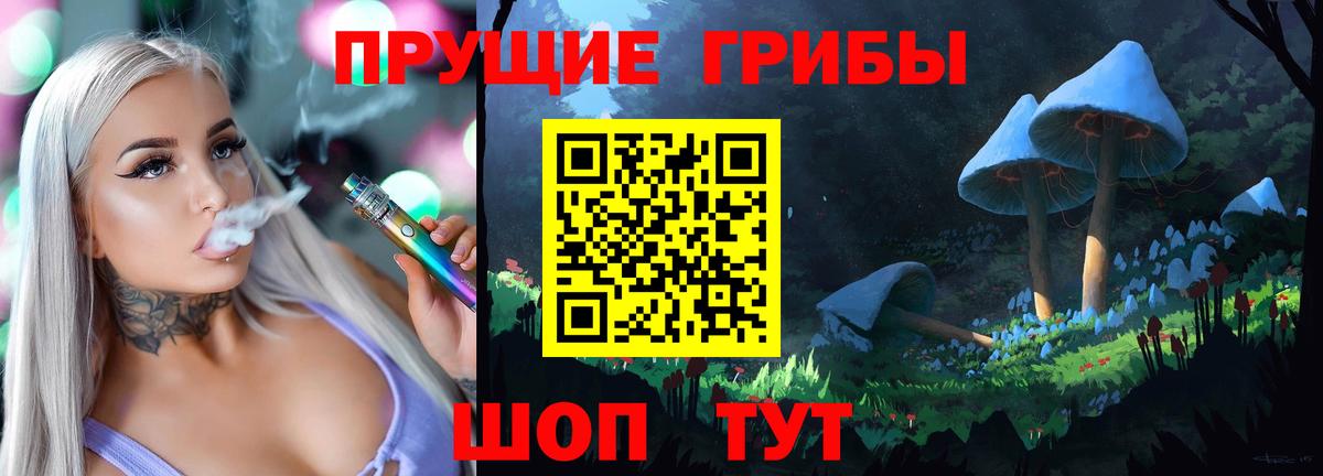 Псилоцибиновые грибы мицелий Новокуйбышевск