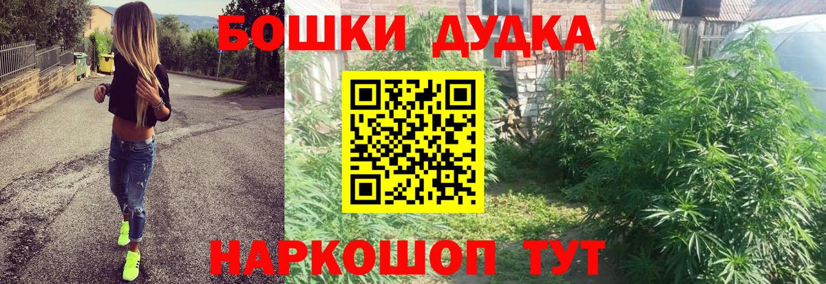 Каннабис индика Новокуйбышевск